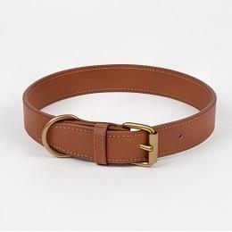 Leather Collar (Sample 01)