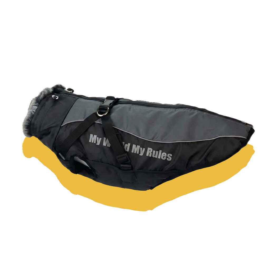 Alpine Water-Resistant Dog Jacket Grey