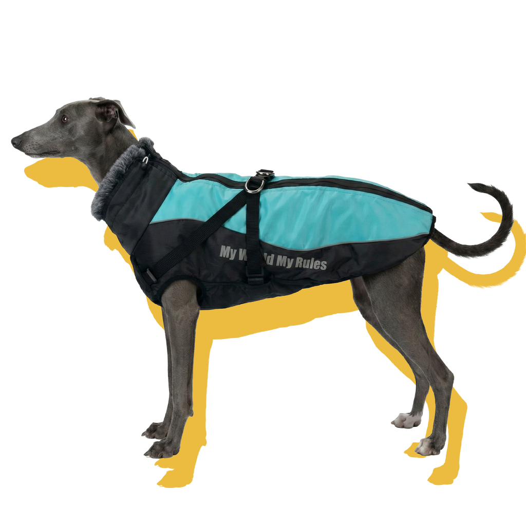 Alpine Water-Resistant Dog Jacket Grey