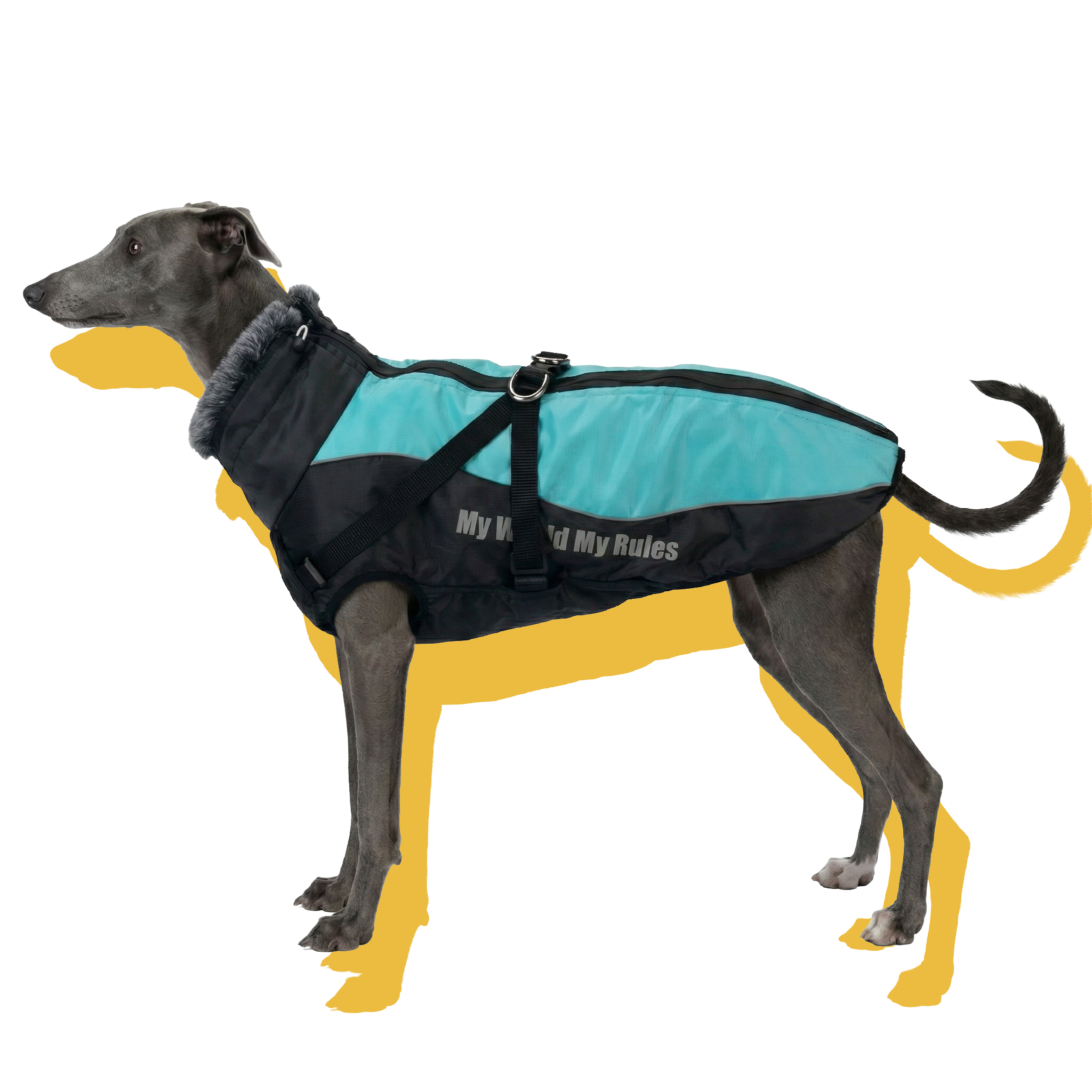 Alpine Water-Resistant Dog Jacket Blue