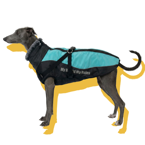 Alpine Water-Resistant Dog Jacket Blue
