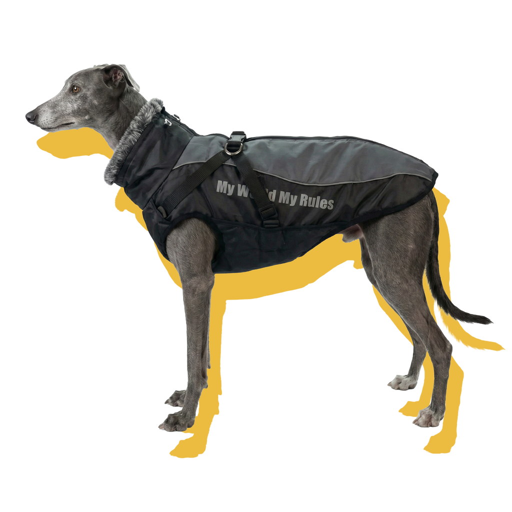 Alpine Water-Resistant Dog Jacket Grey