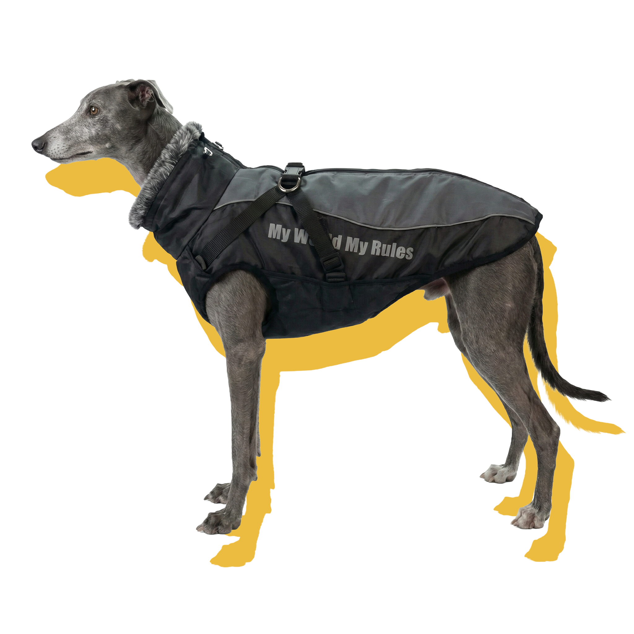 Alpine Water-Resistant Dog Jacket Grey