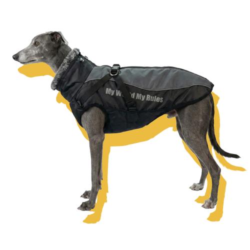 Alpine Water-Resistant Dog Jacket Grey