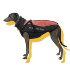 Alpine Water-Resistant Dog Jacket Grey