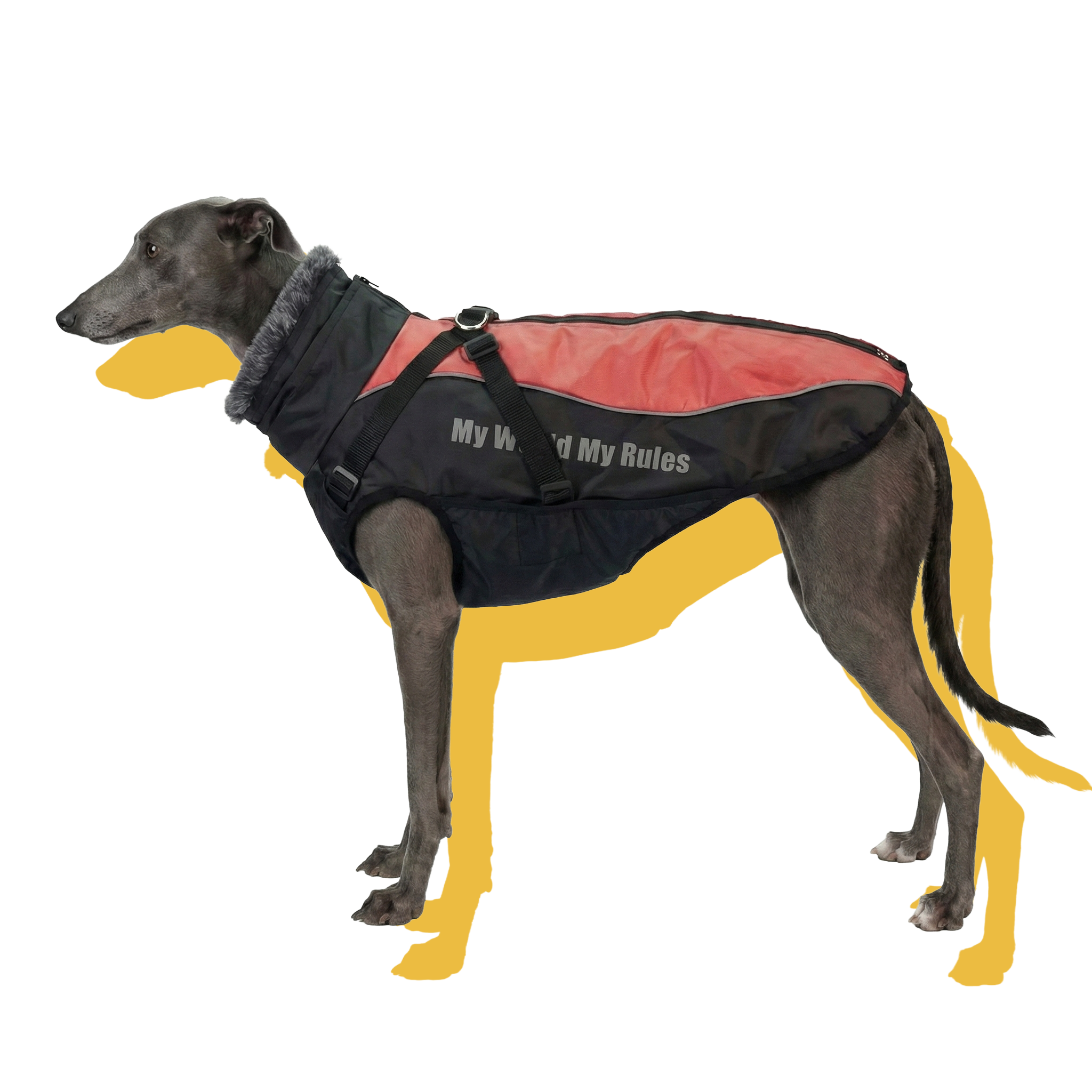 Alpine Water-Resistant Dog Jacket Red