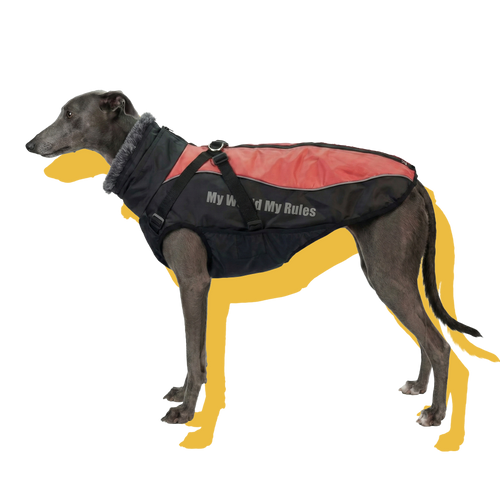 Alpine Water-Resistant Dog Jacket Red