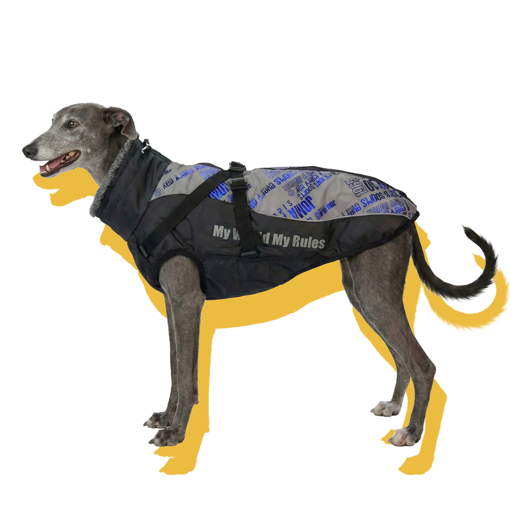 Alpine Water-Resistant Dog Jacket Grey