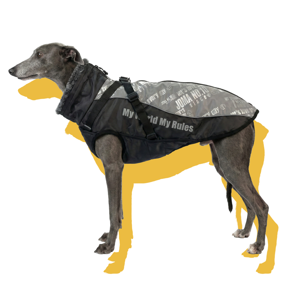 Alpine Water-Resistant Dog Jacket Grey