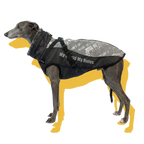 Alpine Water-Resistant Dog Jacket Grey