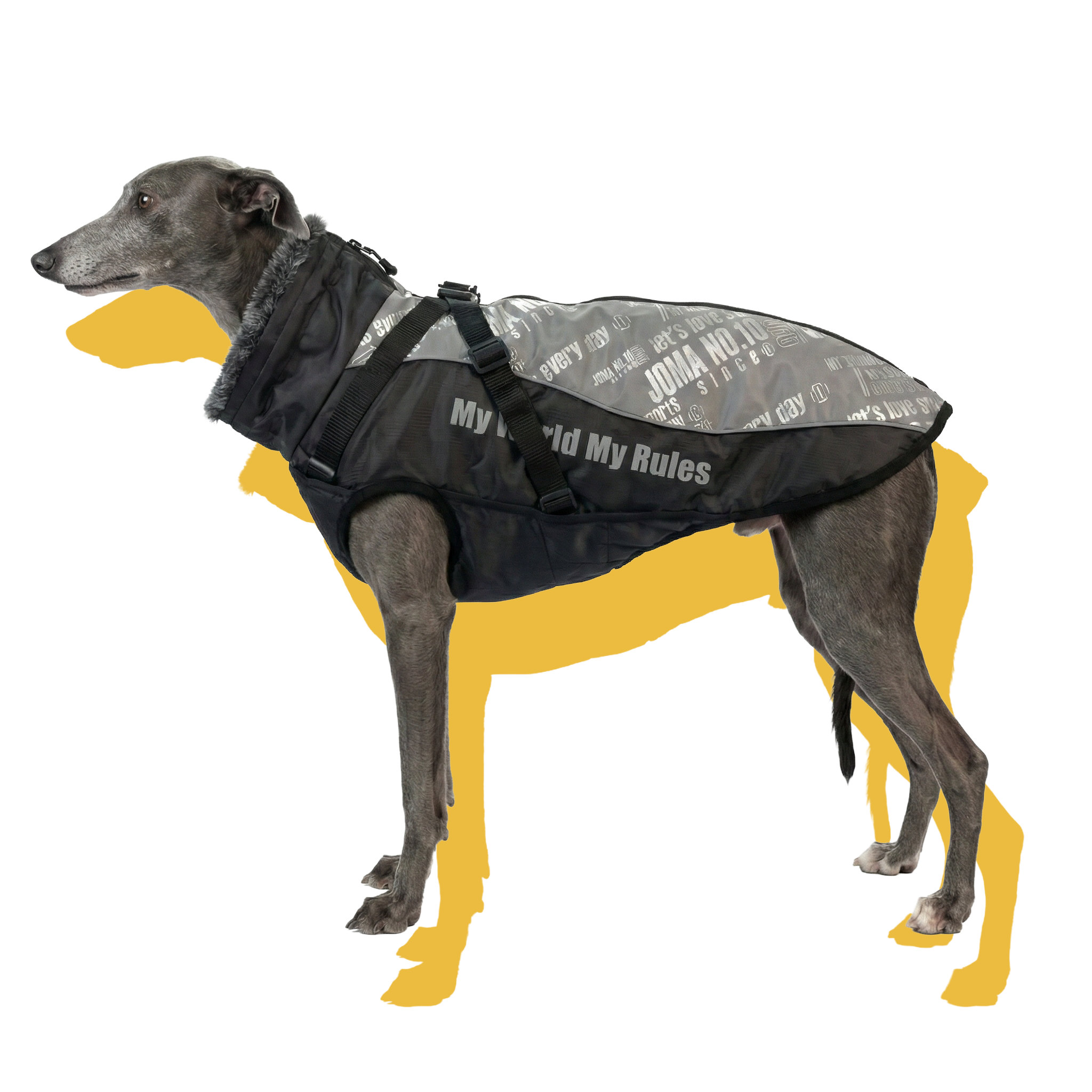 Alpine Water-Resistant Dog Jacket Reflective Grey