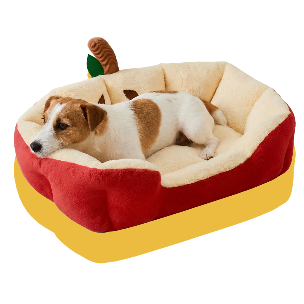 Dog lying on a pet bed shaped like an apple