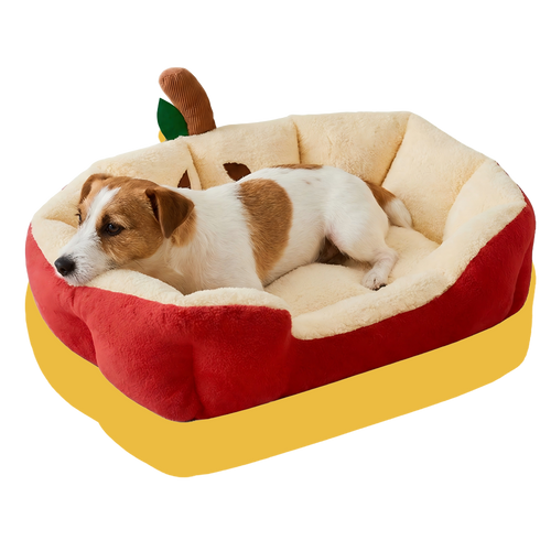 Dog lying on a pet bed shaped like an apple