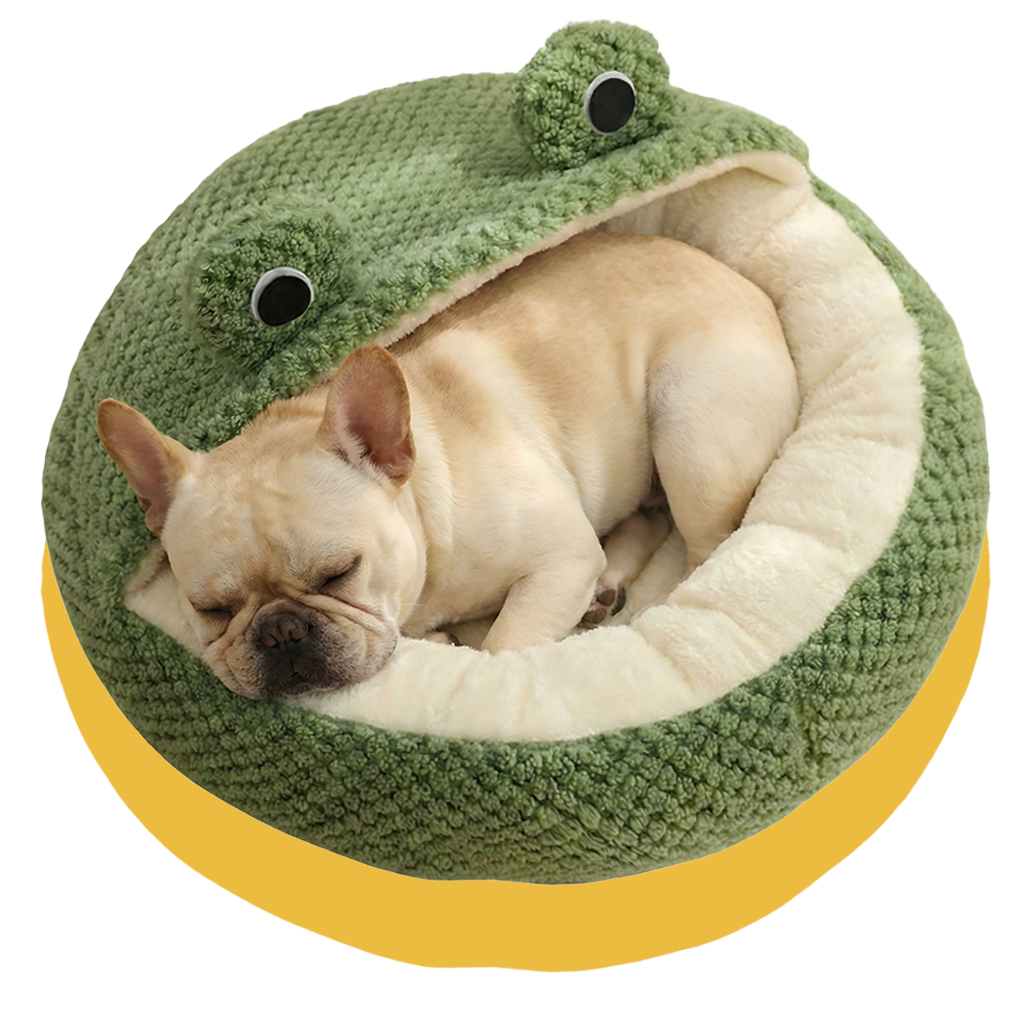 Dog lying in a green frog-shaped pet bed