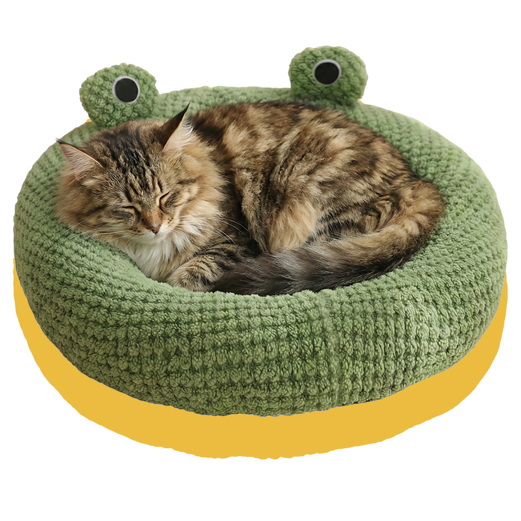 Cat lying in the green frog circular pet bed