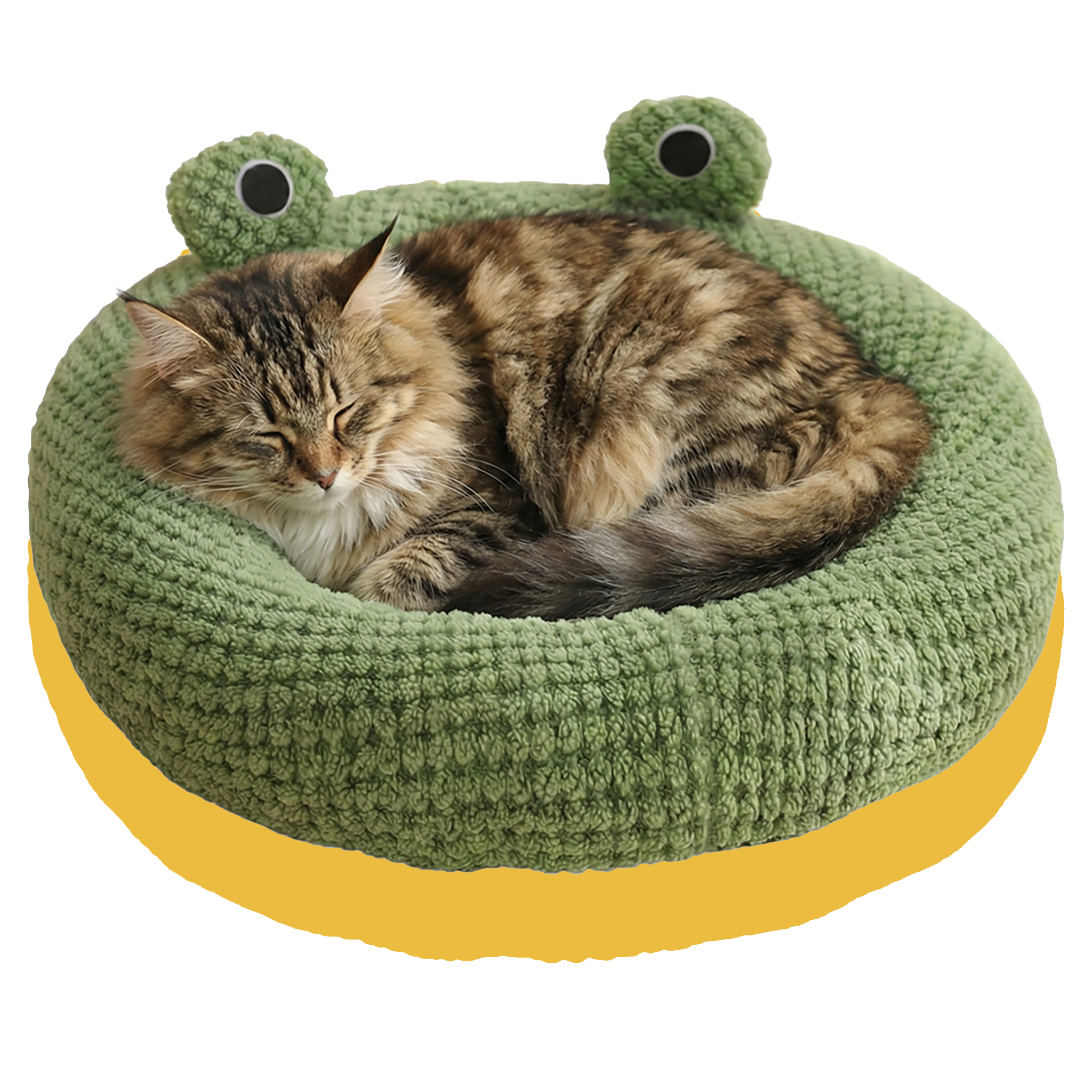 Cat lying in the green frog circular pet bed