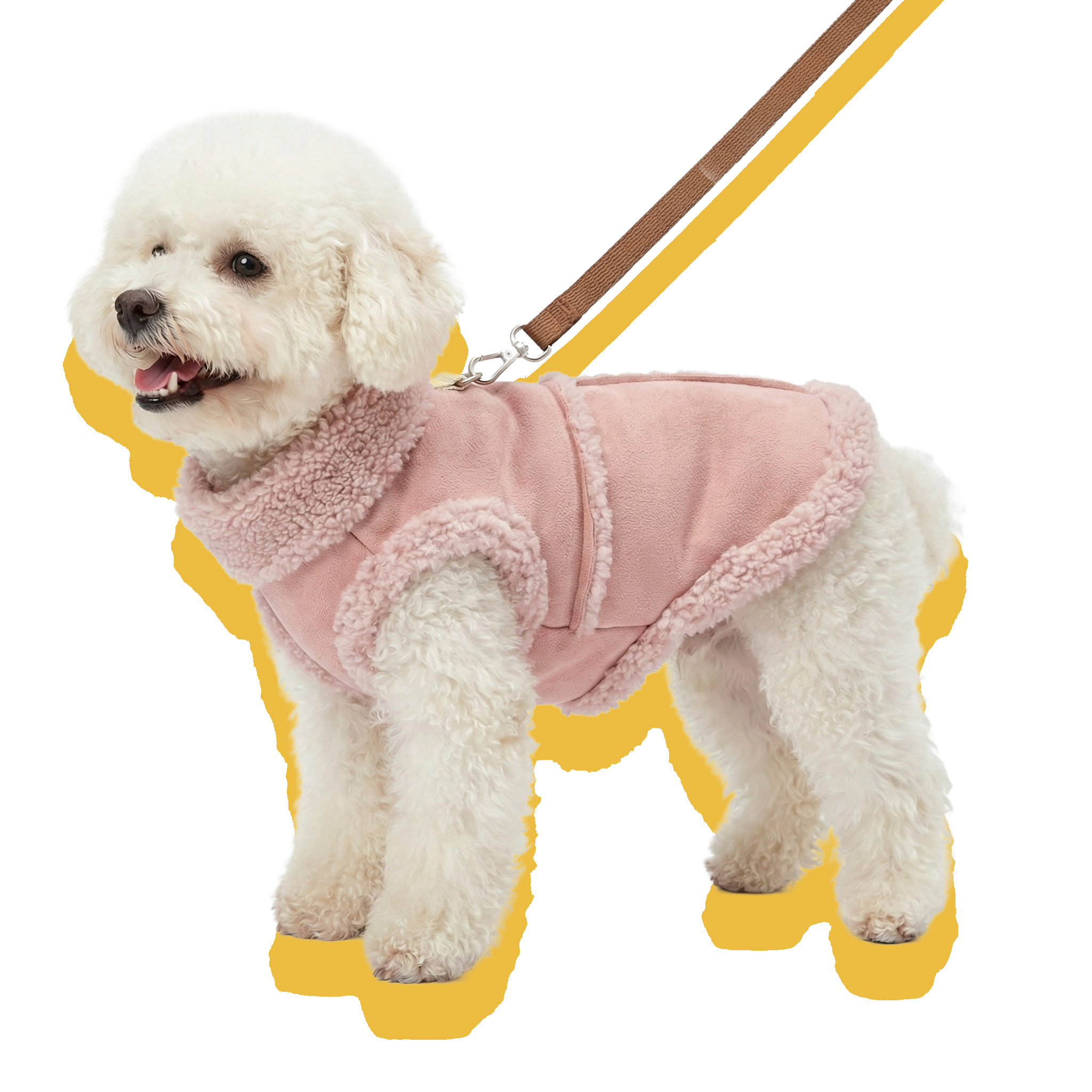 A white teddy dog wearing the pink suede dog coat with a leash.