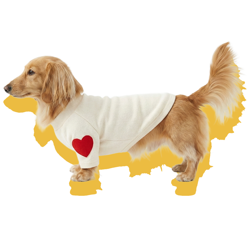 Heart Plush Warm Fleece Dog Sweater Grey